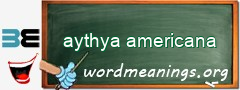 WordMeaning blackboard for aythya americana